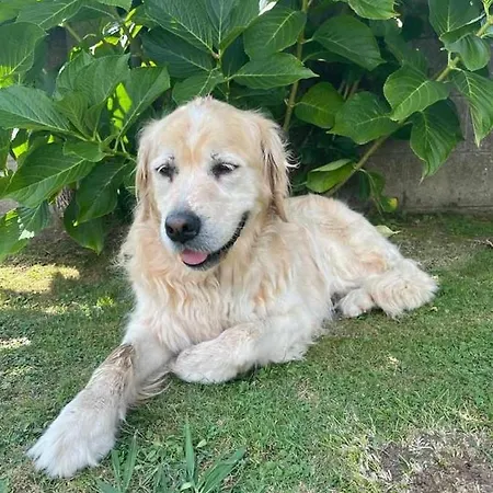 Дом отдыха Casa Balsas